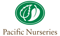 Pacific Nurseries logo