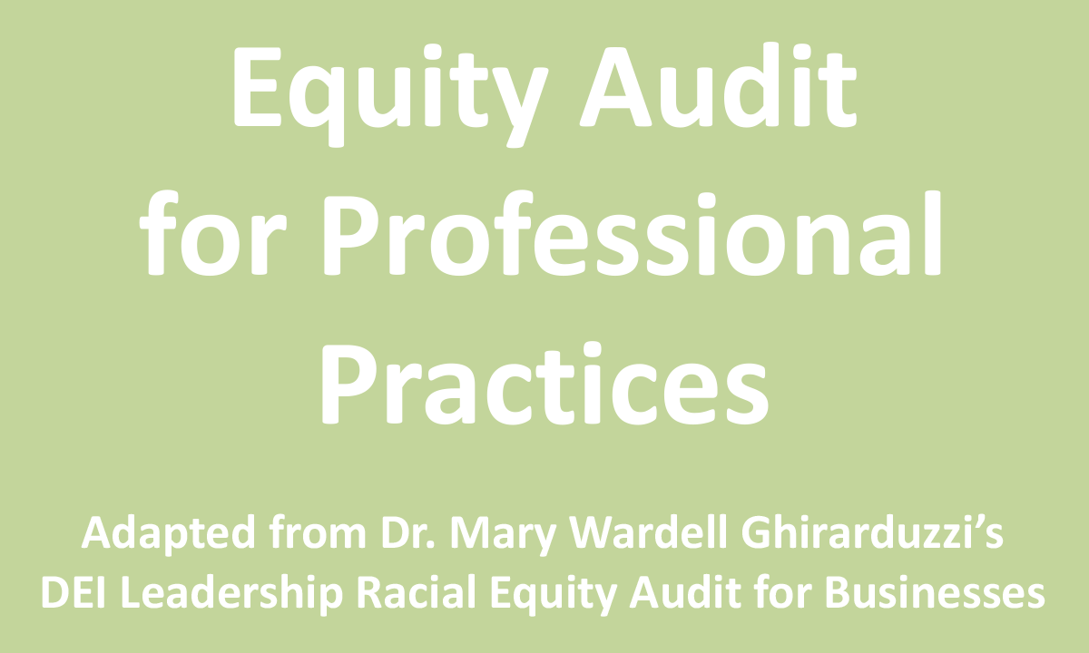 Equity Audit for Professional Practices