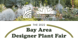 The APLD 2022 Bay Area Designer Plant Fair at Ruth Bancroft Garden & Nursery