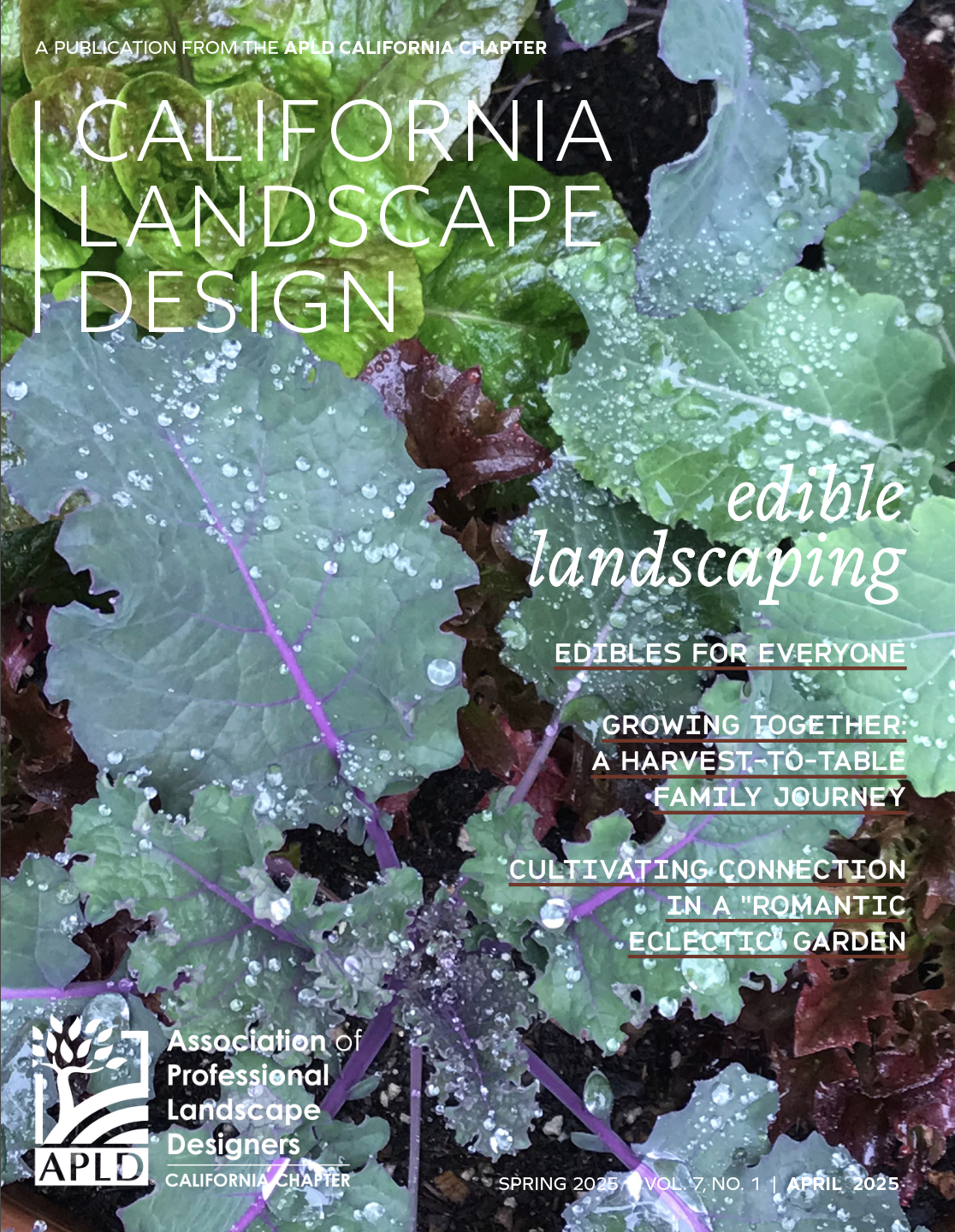 CLD Spring 2025 Cover