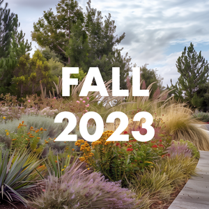 Fall 2023