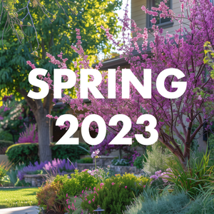 Spring 2023