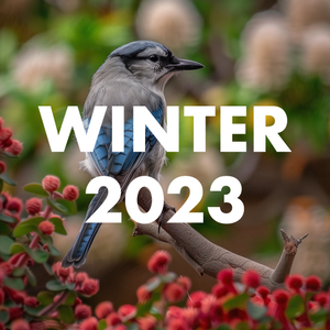 Winter 2023