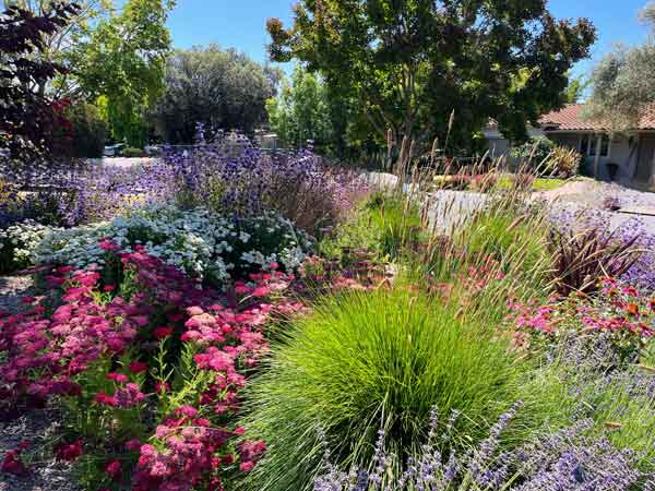 Garden of Resilience Landscape Design - CA