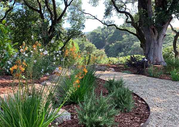 Dig Your Garden Landscape Design