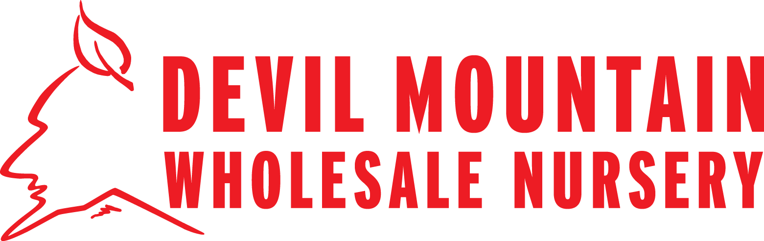 Devil Mountain Nursery Logo